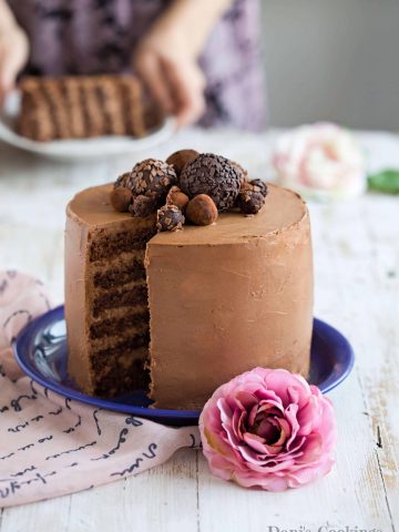 Dreamy Chocolate Layer Cake with Chocolate Truffles | Dani's Cookings